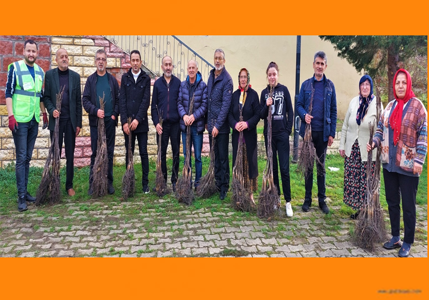 ALTINORDU’NUN GELECEĞİNE NEFES 300 BİN FİDAN TOPRAKLA BULUŞTU