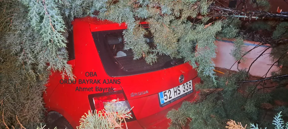 ORDUDA ŞİDDETLİ FIRTINA HASARA YOL AÇTI