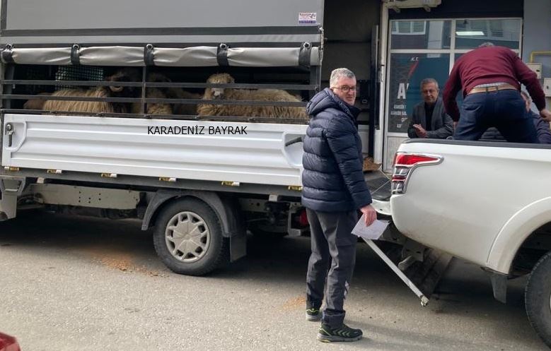 DEPREM BÖLGESİNE 200 KOYUN