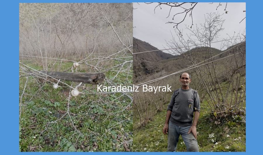“Vatandaş elektrik kesintilerinden mağdur”