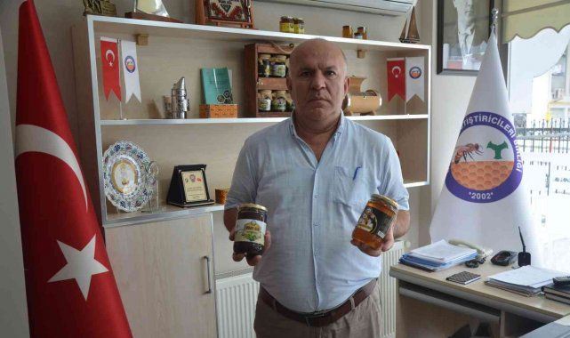 Balda merdiven altı üretimler Ordulu arıcıları zarara uğrattı