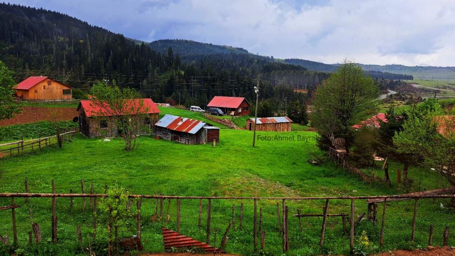 DİZİLER ORDU