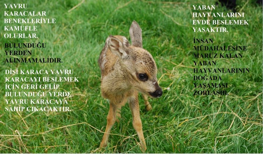  VATANDAŞLARA 