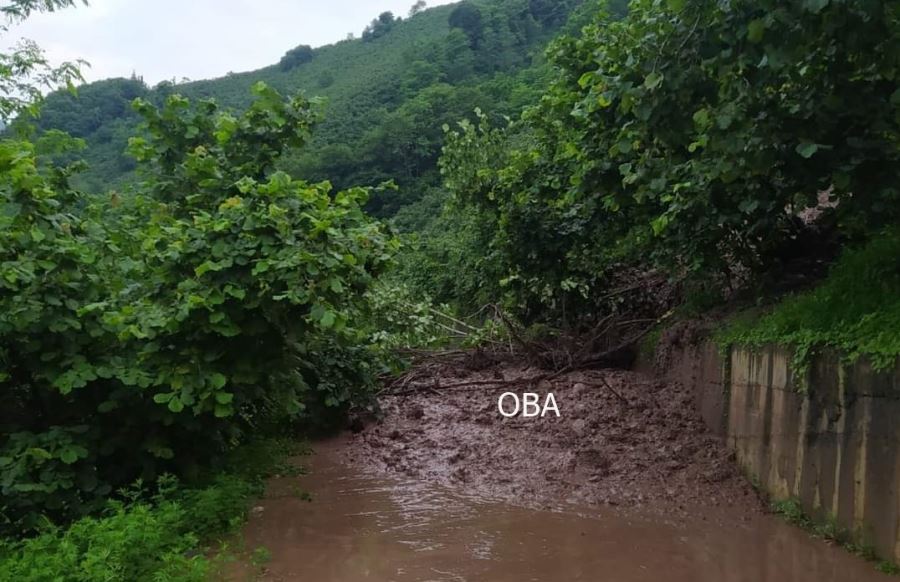 Aşırı yağmur nedeniyle heyelan meydana geldi