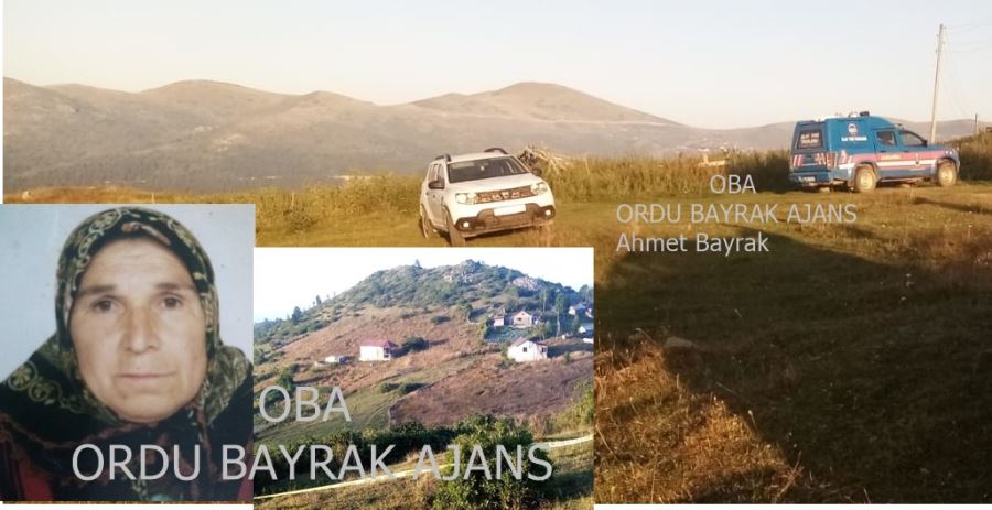 Ordu