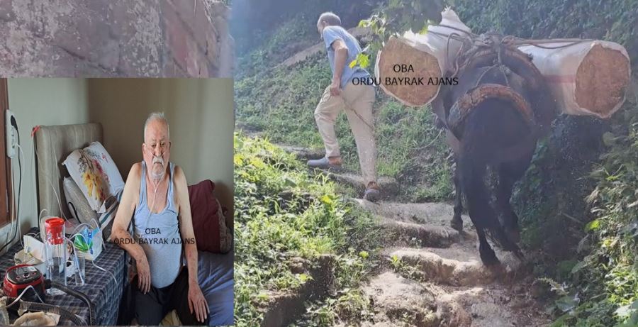 Hasta babasını yol olmadığı için sırtında taşıyor!
