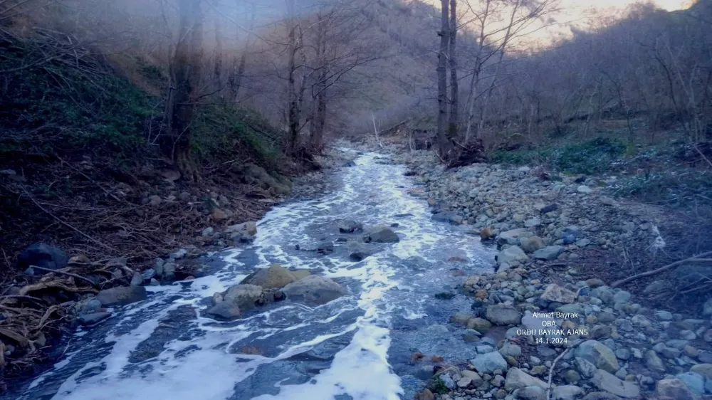 Melet Nehri, kimyasallarla zehirleniyor