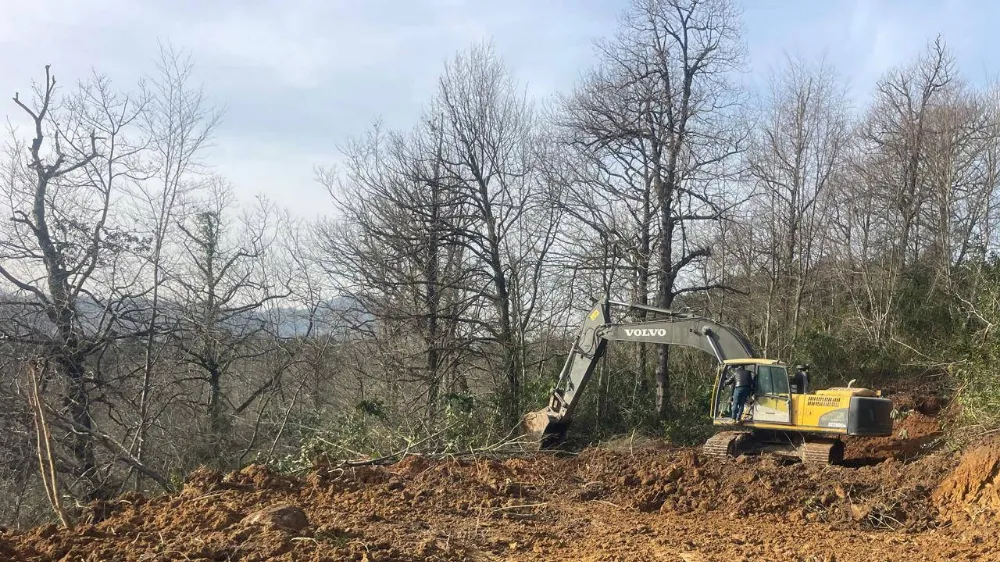 Ordu Büyükşehir Belediyesi madencilere yol açmak için orman kıyımına başladı