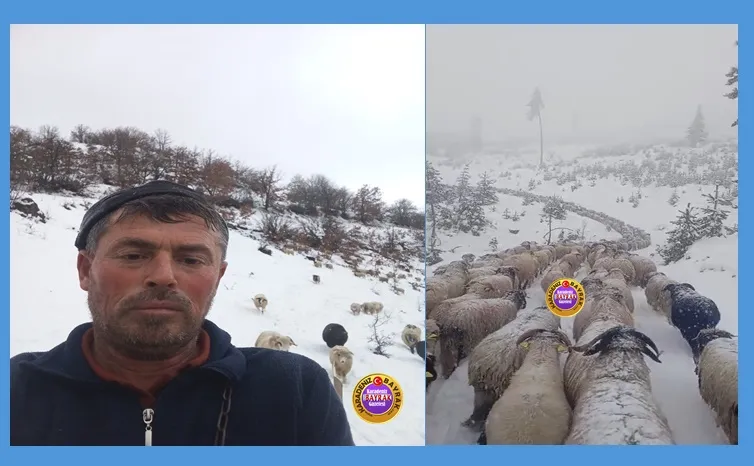 Aniden Bastıran Kar Yağışı, Çobanları ve Sürüye zor anlar yaşattı