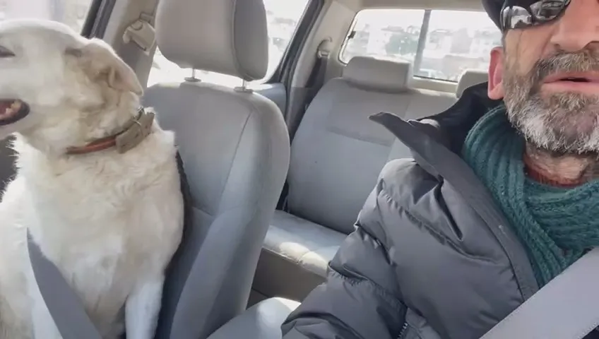 Köpeğine Emniyet Kemerini Taktı