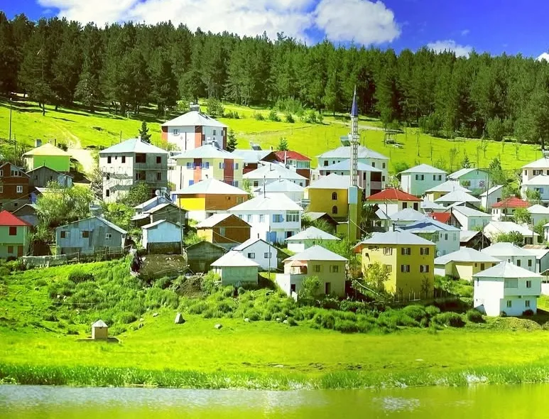 Ordu’da Acı Olay: Kadın, Evinin Yakınında Ölü Bulundu