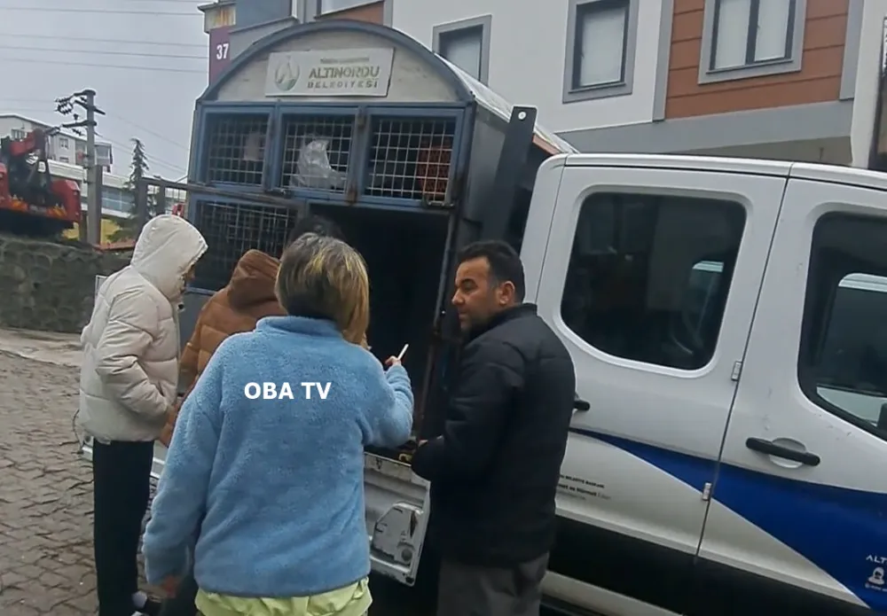 Yavru Köpekleri Ezen Sürücüye 20.700 TL Ceza