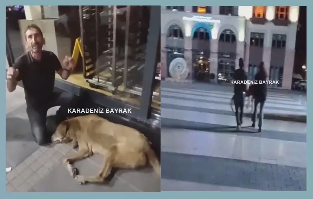 Ordu’da Hayvanseverlerden ‘Ölü Köpek’li Protesto