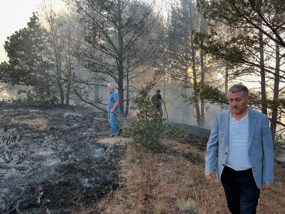 Ordu Mesudiye’de Orman Yangını Kontrol Altına Alındı