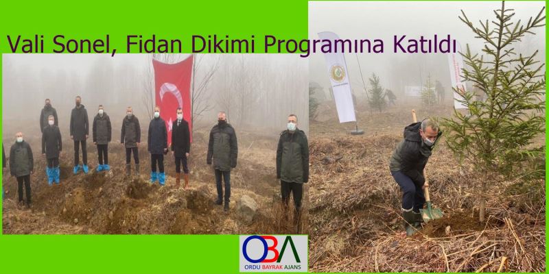 Vali Sonel, Fidan Dikimi Programına Katıldı